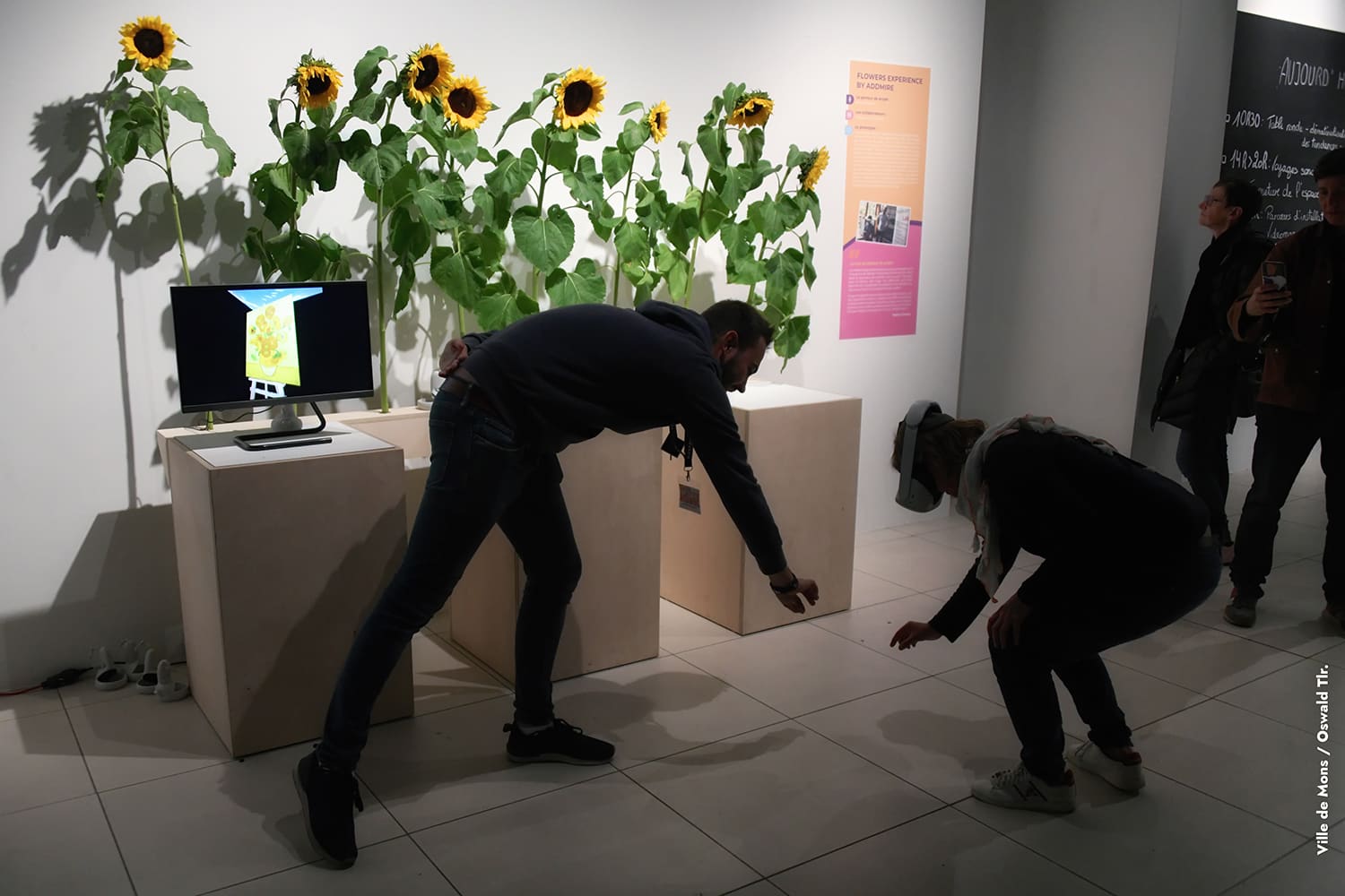 Van Gogh Flowers Experience, vue 3